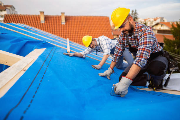 Best Commercial Roof Installation  in Fayette, LA
